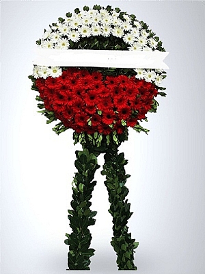 Kırmızı - Beyaz Gerbera Cenaze Çelengi